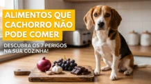 Alimentos que Cachorro não Pode Comer: 7 Perigos na sua Cozinha