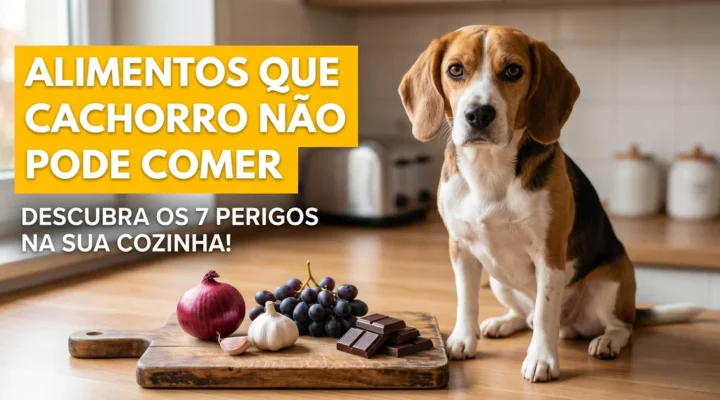 Alimentos que Cachorro não Pode Comer: 7 Perigos na sua Cozinha