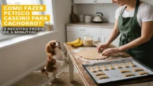 Como fazer petisco caseiro para cachorro: 3 receitas fáceis de 5 minutos
