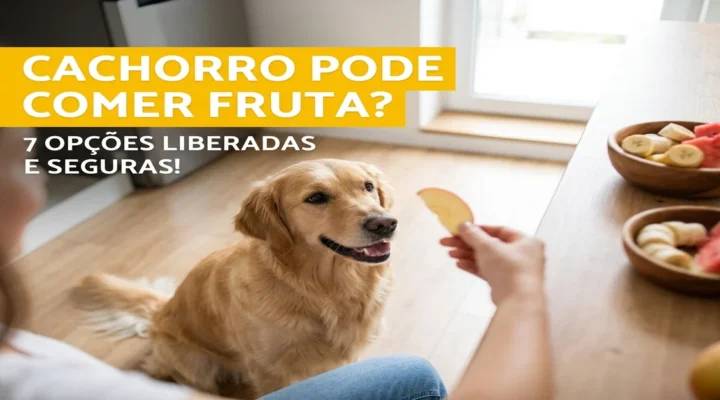 Cachorro pode comer fruta? Conheça as 7 opções liberadas e seguras