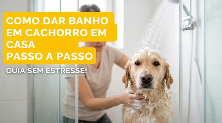 Como dar banho em cachorro em casa passo a passo: Guia sem estresse