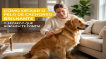Como deixar o pelo de cachorro brilhante: O segredo que ninguém te conta