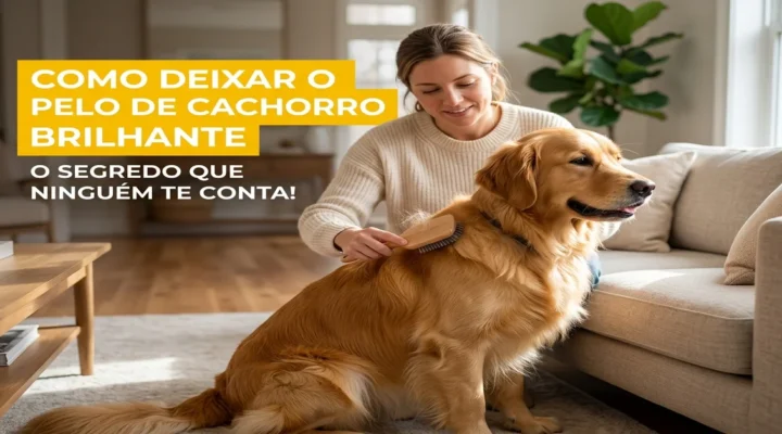 Como deixar o pelo de cachorro brilhante: O segredo que ninguém te conta