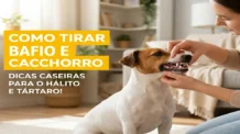 Como tirar bafio de cachorro: Dicas caseiras para o hálito e tártaro