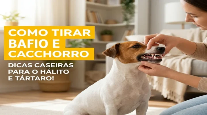Como tirar bafio de cachorro: Dicas caseiras para o hálito e tártaro