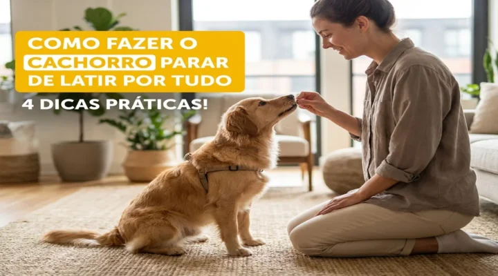 Como fazer o cachorro parar de latir por tudo: 4 dicas práticas