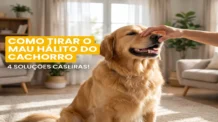 Como tirar o mau hálito do cachorro: 4 soluções caseiras